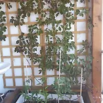 Coco Coworking & Coliving Apartament Aheloi