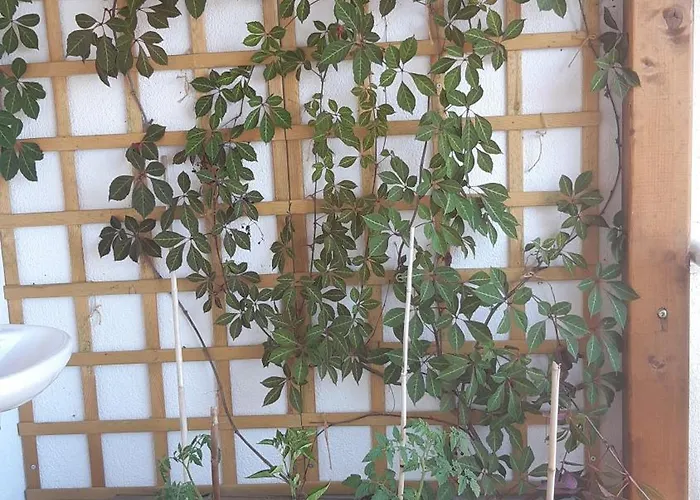 Coco Coworking & Coliving Διαμέρισμα Aheloy